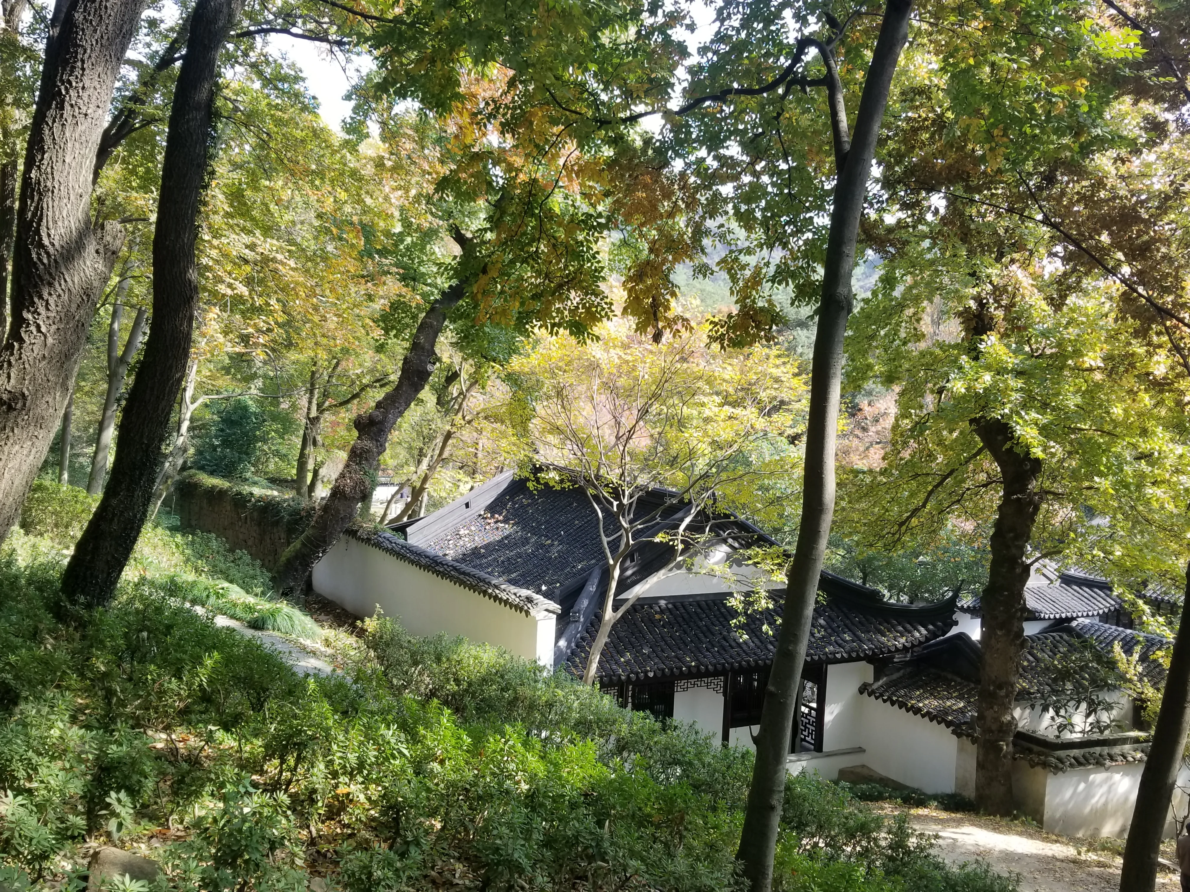 石径穿过层叠树影，粉墙黛瓦藏在深秋枝叶之后。