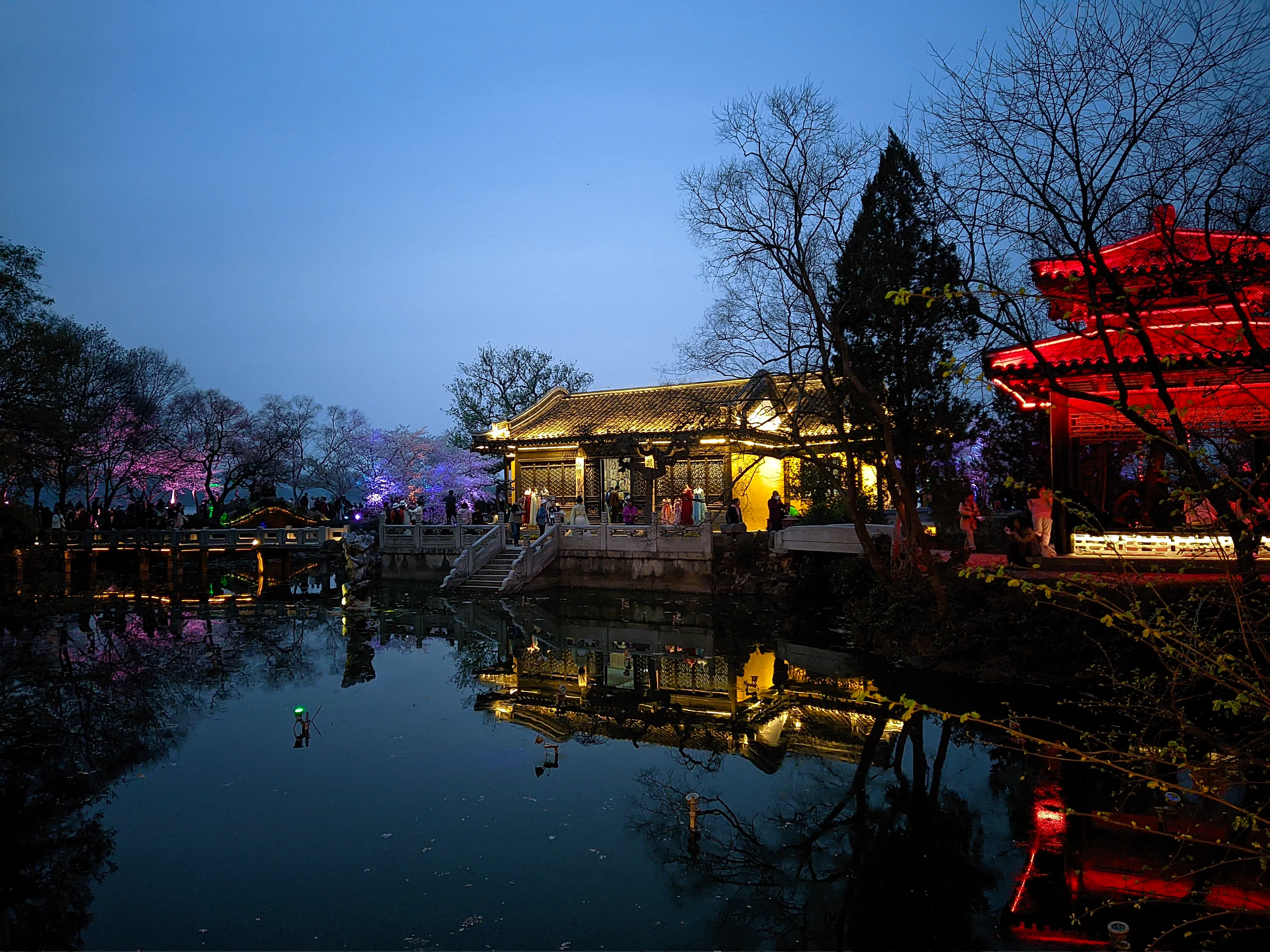 红灯与暖光沿水岸展开，花树倒映在入夜的池面。